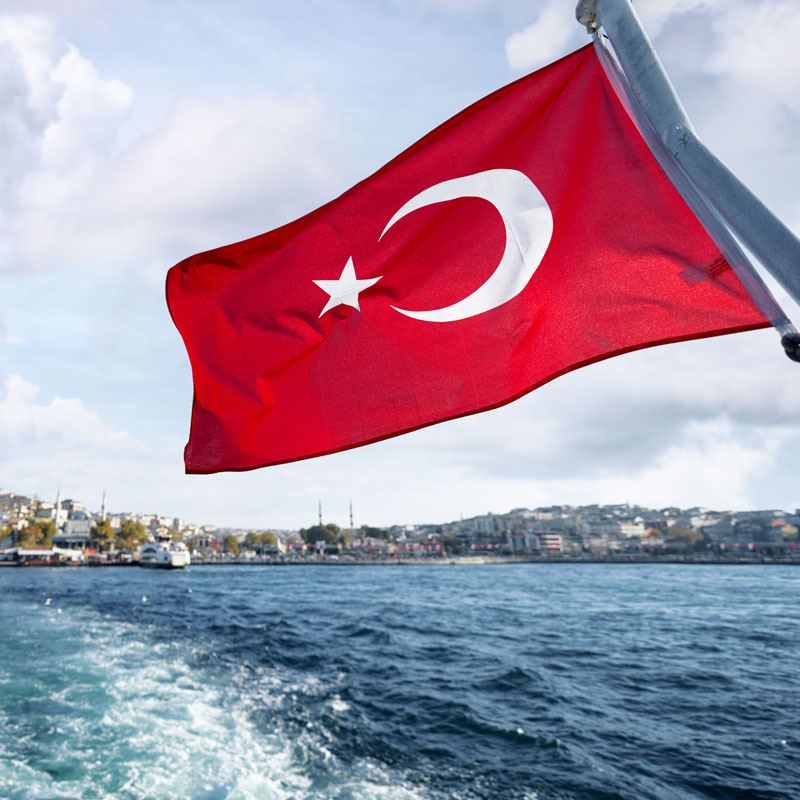 Der starke Mann am Bosporus