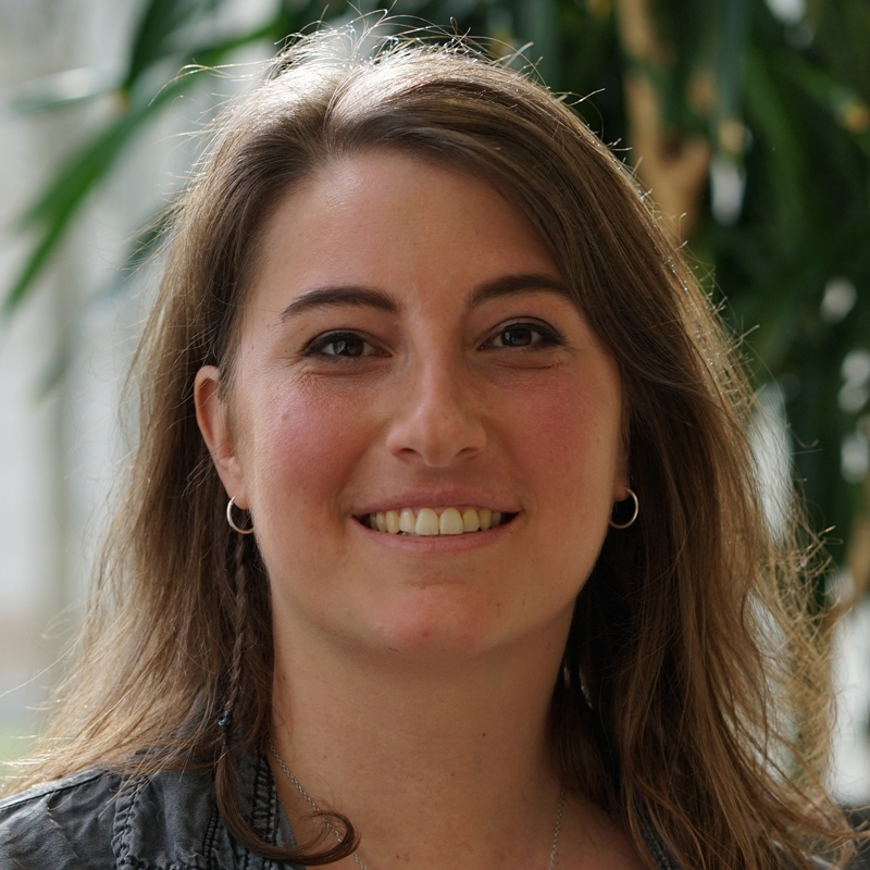 Lisa Krauth